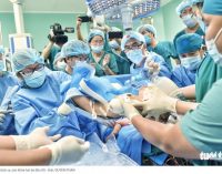 Cuộc đại phẫu tách hai bé Trúc Nhi và Diệu Nhi đã thành công