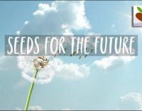 Huawei Việt Nam khởi động Chương trình đào tạo “Hạt giống Viễn thông Tương lai” năm 2020