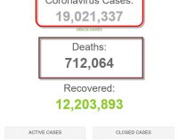 Thế giới đã có 19 triệu người nhiễm coronavirus