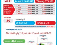Ngày 17-8-2020, Việt Nam có thêm 14 ca nhiễm virus SARS-CoV-2 mới