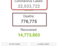 22 triệu người trên thế giới nhiễm coronavirus SARS-CoV-2