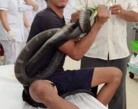 Một ca cấp cứu gây hết hồn đầu tháng cô hồn năm Cô Vi