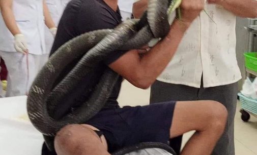 Một ca cấp cứu gây hết hồn đầu tháng cô hồn năm Cô Vi