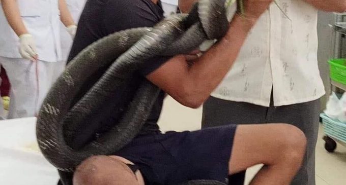 Một ca cấp cứu gây hết hồn đầu tháng cô hồn năm Cô Vi