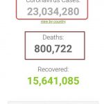 Thế giới vượt mốc 23 triệu người nhiễm coronavirus SARS-CoV-2