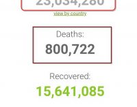 Thế giới vượt mốc 23 triệu người nhiễm coronavirus SARS-CoV-2