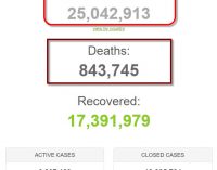 Thế giới đã có hơn 25 triệu người nhiễm virus SARS-CoV-2