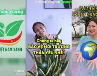 Những xu hướng sáng tạo trên TikTok Việt Nam tháng 8-2020