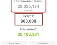 Thế giới đã có hơn 28 triệu người được ghi nhận nhiễm coronavirus SARS-CoV-2