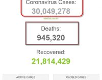 Thế giới đã có hơn 30 triệu người được ghi nhận nhiễm coronavirus SARS-CoV-2