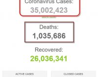 Số bệnh nhân COVID-19 trên thế giới đã vượt 35 triệu người