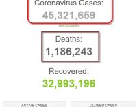 Số bệnh nhân COVID-19 trên thế giới đã vượt mốc 45 triệu người