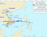 Tin bão khẩn cấp: Bão số 12 (Etau) 2020