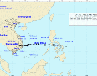 Tin cuối cùng về cơn bão số 12 Etau và tin đầu về cơn bão gần Biển Đông Vamco