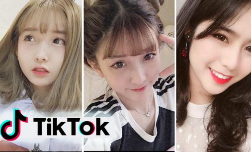 TikTok Việt Nam công bố bảng tổng kết năm 2020