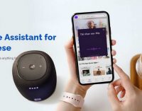 Zalo ra mắt trợ lý giọng nói tiếng Việt Kiki cho xe ôtô và loa thông minh