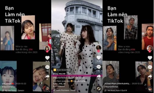 Những xu hướng hàng đầu trên TikTok Việt Nam tháng cuối năm 2020