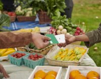 Visa cam kết tiếp tục giúp các doanh nghiệp nhỏ phát triển mạnh mẽ trong nền kinh tế số