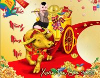 Chúc Mừng Xuân Tân Sửu 2021 – Happy Year of the Ox 2021