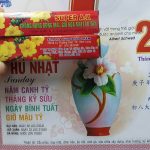 Thuốc chống rụng hoa mai ngày Tết