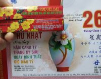 Thuốc chống rụng hoa mai ngày Tết