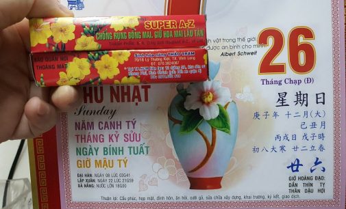 Thuốc chống rụng hoa mai ngày Tết