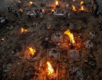 Chớ giỡn mặt với ả Cô Vi 19 tuổi