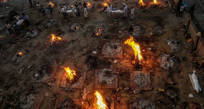 Chớ giỡn mặt với ả Cô Vi 19 tuổi