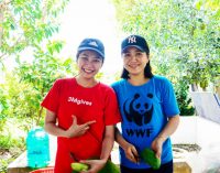 3M cùng WWF Việt Nam trồng cây xanh tại Khu Bảo tồn Đất ngập nước Láng Sen