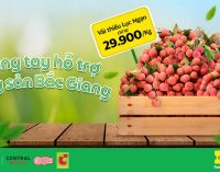 Big C Việt Nam và Grab Việt Nam chung tay hỗ trợ nông sản Bắc Giang giữa tâm dịch COVID-19