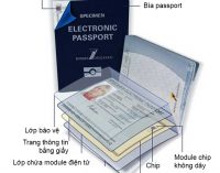 Bắt đầu thời công dân điện tử