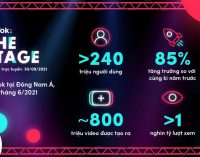 TikTok: The Stage giúp doanh nghiệp thành công trên TikTok