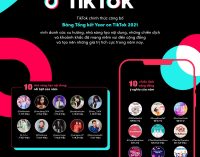 Bảng Tổng kết Year on TikTok 2021 ở Việt Nam
