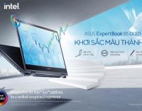 Laptop ASUS ExpertBook B5 OLED series cho thời làm việc linh hoạt