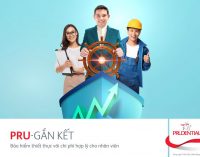 Giải pháp Prudential PRU-Gắn Kết giúp doanh nghiệp thu hút nhân sự