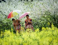 Agoda: Du khách Việt đi đâu dịp Năm mới 2022?