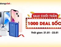 Hệ thống Di Động Việt tiếp tục khuyến mại Tết với giá tốt