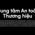 TikTok ra mắt Trung tâm An toàn Thương hiệu
