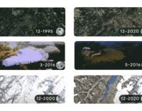 Năm cách dễ dàng để có một lối sống thân thiện hơn với môi trường cùng Google