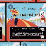 Những xu hướng hàng đầu trên TikTok Việt Nam tháng 5-2022