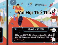 Những xu hướng hàng đầu trên TikTok Việt Nam tháng 5-2022