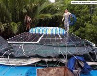 Pin năng lượng mặt trời đi vào cuộc sống