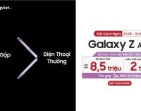 Hệ thống Di Động Việt bắt đầu nhận đặt trước Samsung Galaxy Z 2022