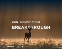 ViewSonic tổ chức cuộc thi ảnh toàn cầu ColorPro Award 2022