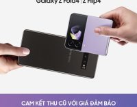 Samsung tiến hành chương trình “Thu cũ đổi mới” đặc biệt dành cho Galaxy Z Flip4 và Galaxy Z Fold4