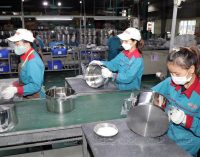 SUNHOUSE vượt biên giới trên nền tảng Amazon mang hàng gia dụng Việt Nam vào bếp nhà Âu, Mỹ