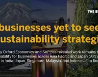 Nghiên cứu mới của SAP cho thấy nhiều doanh nghiệp Châu Á chưa nhìn thấy lợi ích từ phát triển bền vững