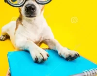 Từ điển “HỌC”