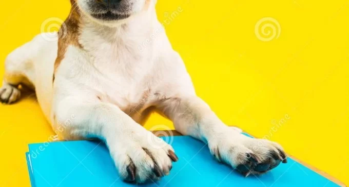 Từ điển “HỌC”