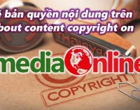 Về bản quyền nội dung trên MediaOnline